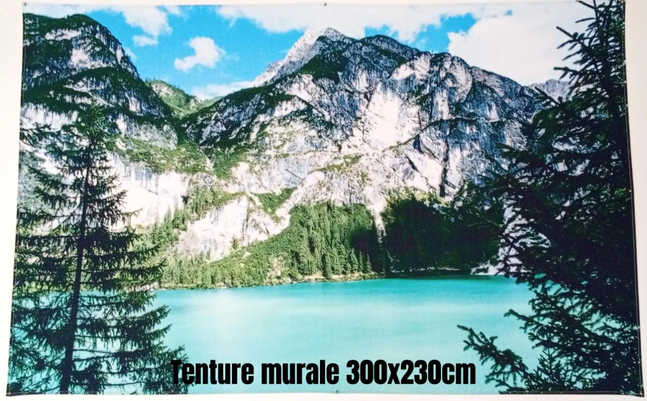 Grande tenture murale paysage montagne et lac - 300x230 cm - Très bon état